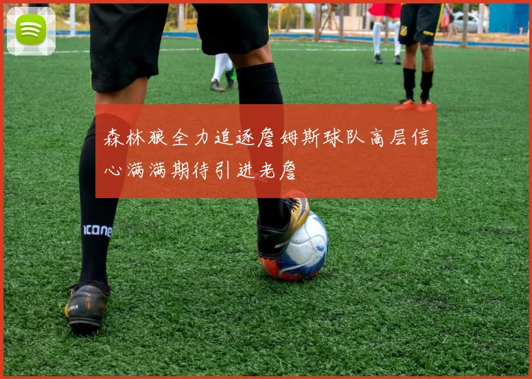 森林狼全力追逐詹姆斯球队高层信心满满期待引进老詹