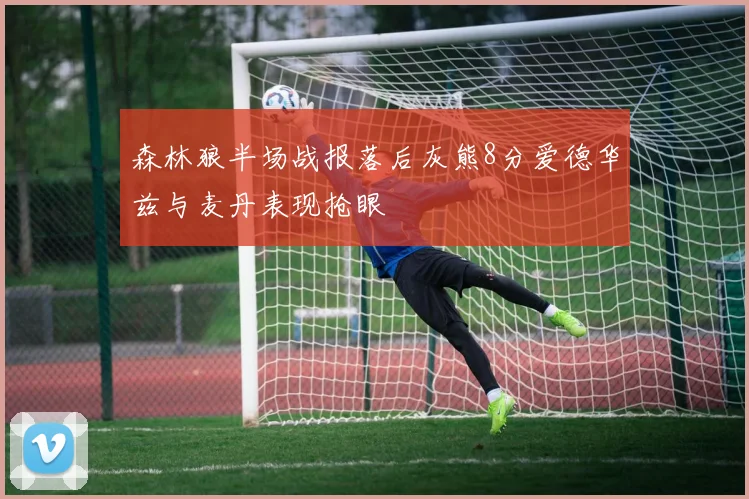 森林狼半场战报落后灰熊8分爱德华兹与麦丹表现抢眼